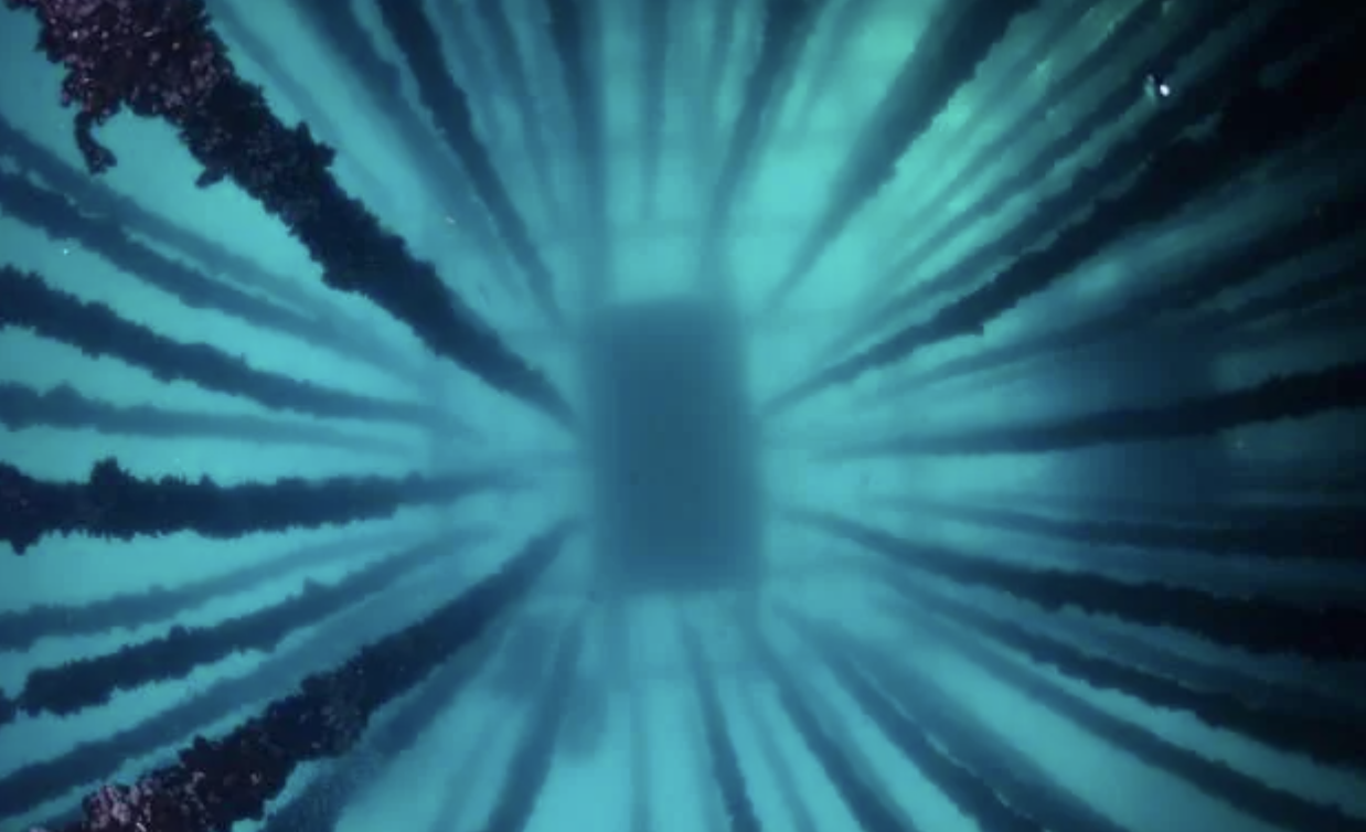 El Futuro de los Alimentos Provenientes del Mar, explicado